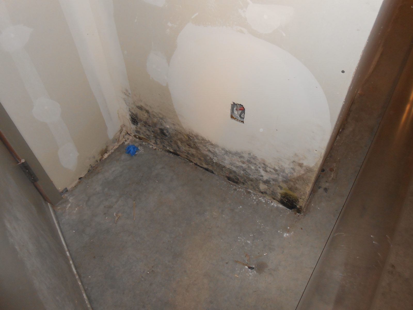 mold mitigation and mold remediation