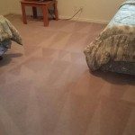 carpet cleaning after photos