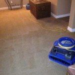 carpet air cleaning