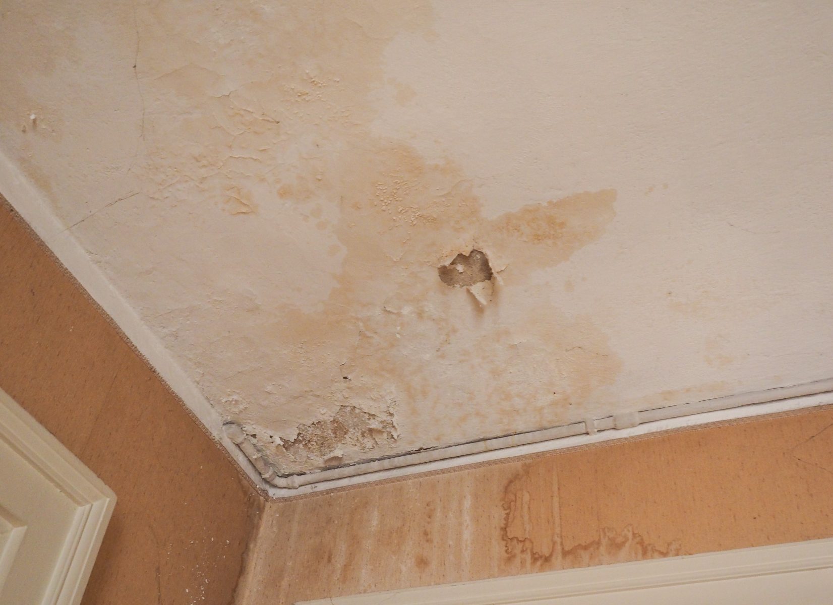 damp ceiling