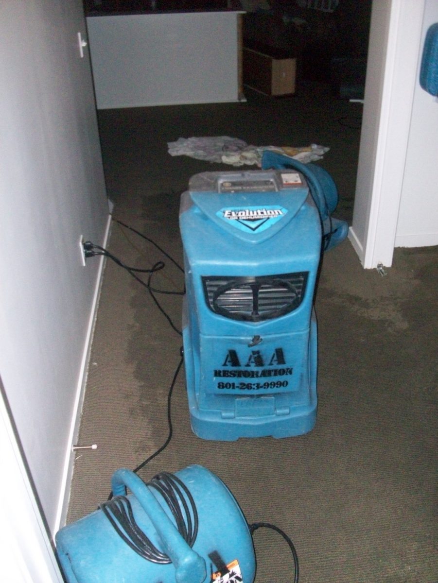 dehumidifier