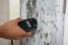 Mold Remediation & Testing for Your New Utah Home 