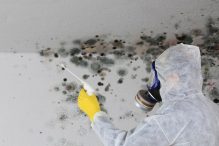 Black Mold Removal Remediation AAA Restoration