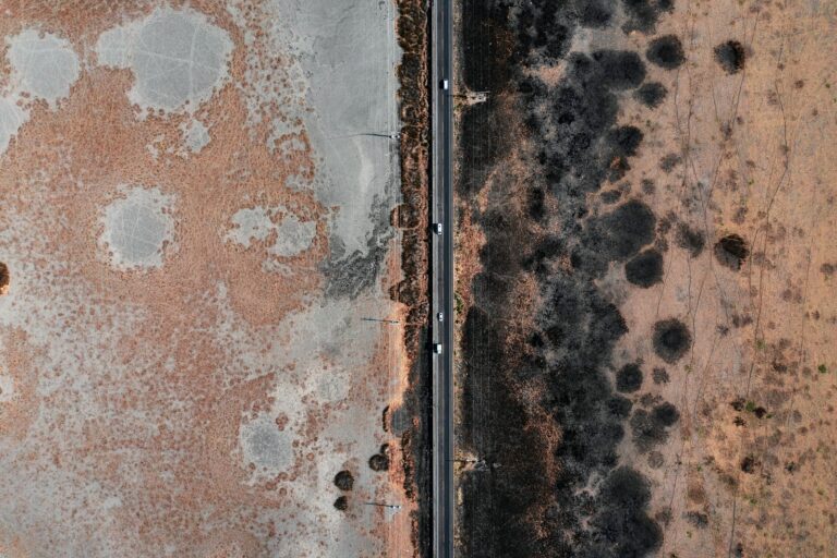 Mold Removal & Remediation