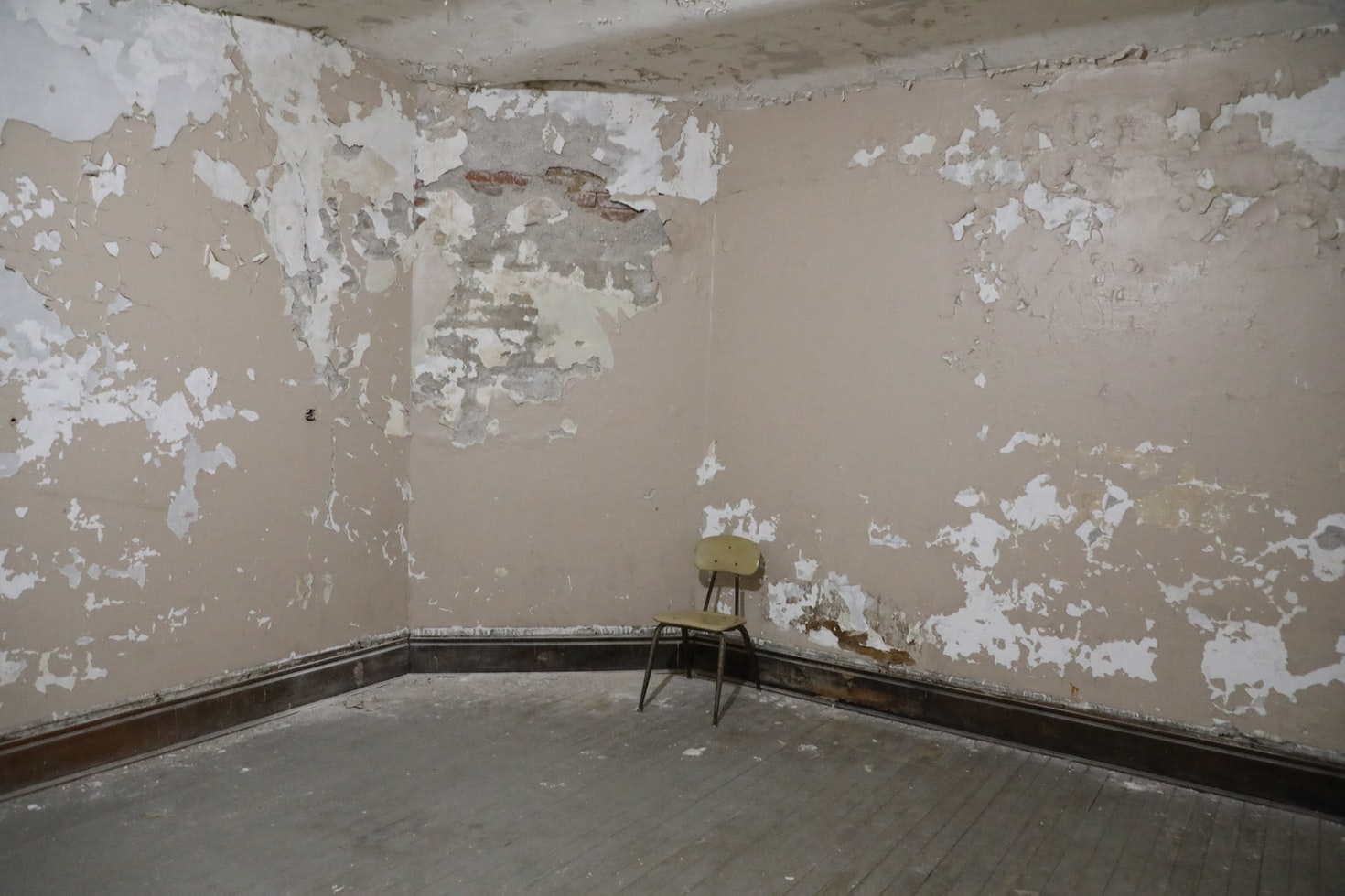 mold