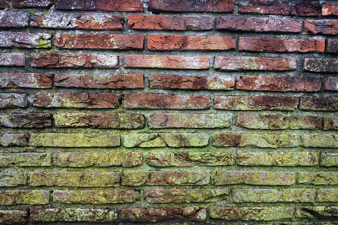 mold