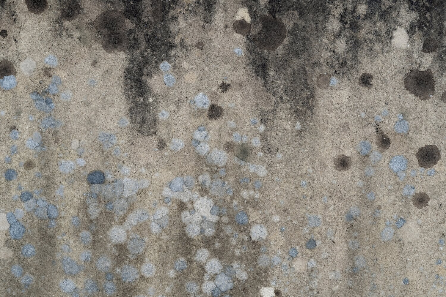 mold on wall