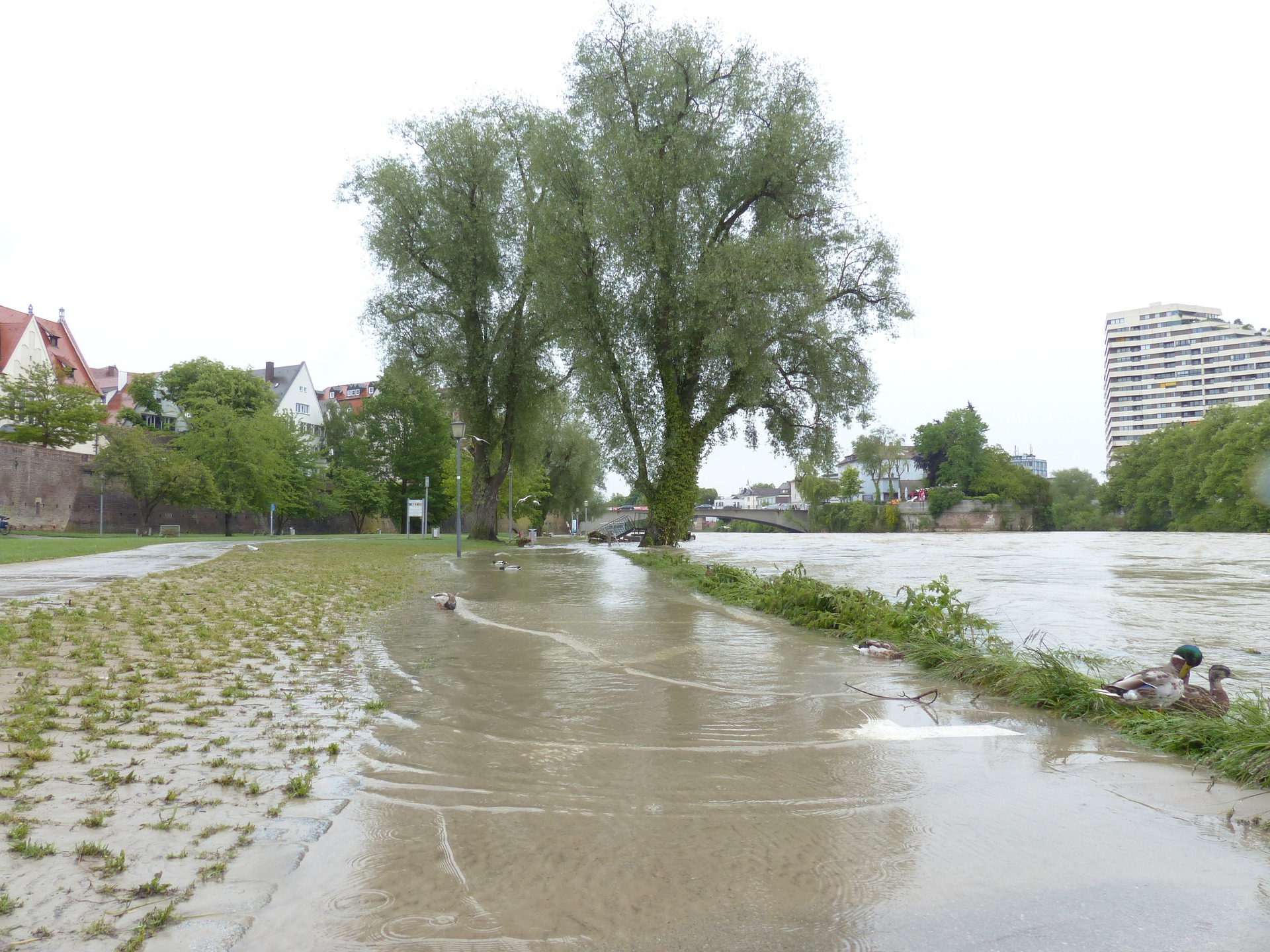 water damage