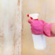 cleaning mold on room wall with chemical spray