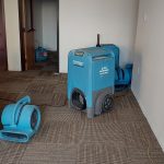 What Are the Most Common Signs of Water Damage?