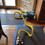 How Fast Does Mold Grow After Water Damage? Timeline & Risks for Utah Homes